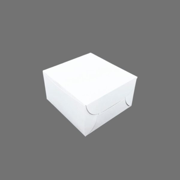 Food Packaging Box White