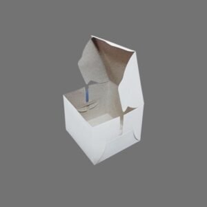 Food Packaging Box White