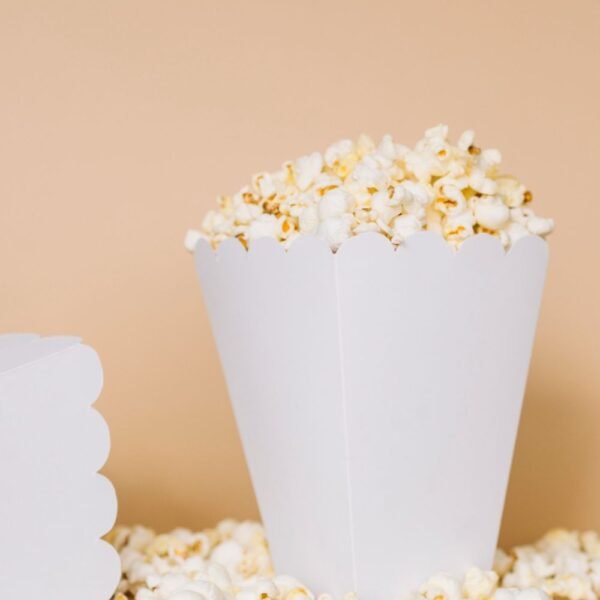 Popcorn Container