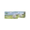 Tea Packaging Box